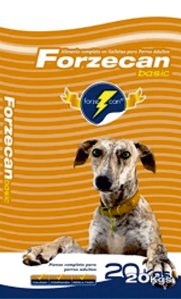 Forzecan Basic